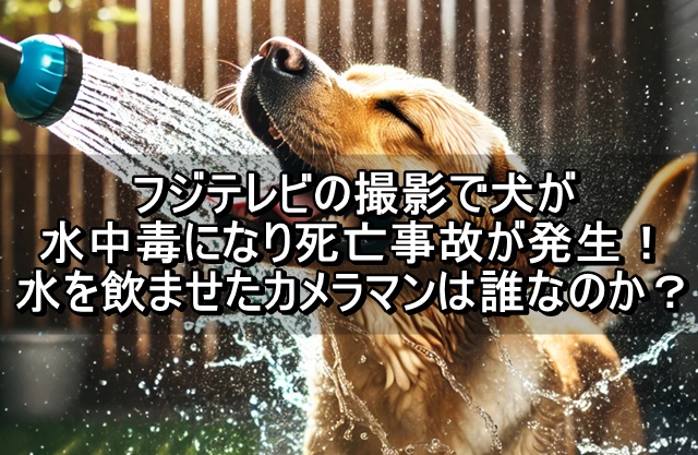 水を飲む犬